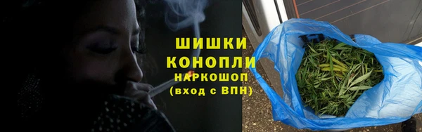 гидропоника Богданович