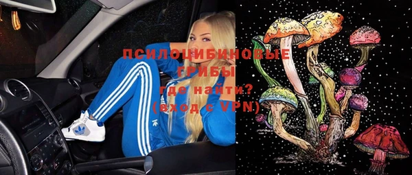 гидропоника Богданович
