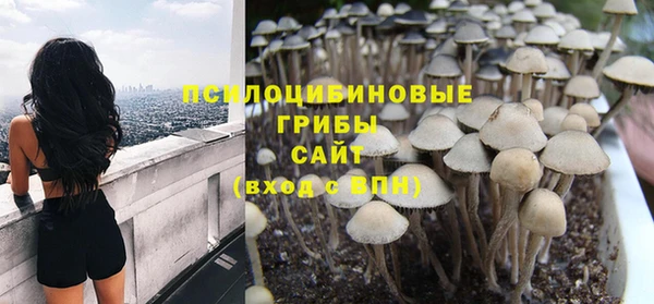 гашик Бугульма