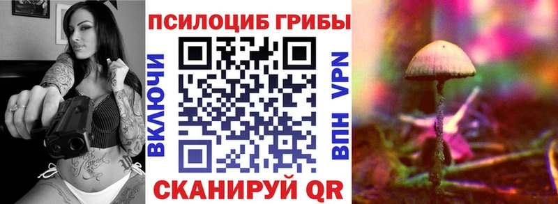 mega tor  Дивногорск  Галлюциногенные грибы Magic Shrooms 